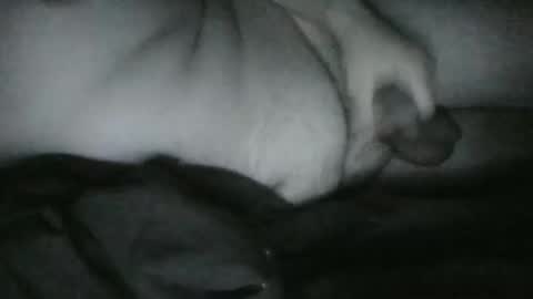 Rayne online show from December 2024 06:52:02 AM