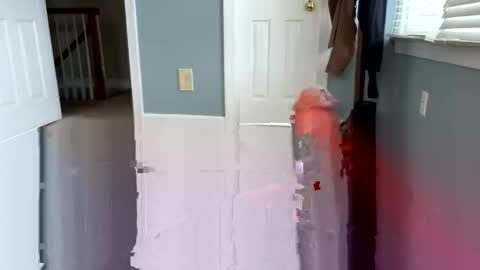 Snapshot of letmecumforyou71 chatting on March 2026 06:14:02 PM letmecumforyou71 online show from March 2026 06:14:02 PM