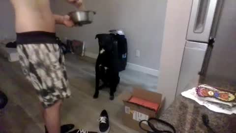 Snapshot of letsdoit206 chatting on January 2025 02:25:01 AM letsdoit206 online show from January 2025 02:25:01 AM