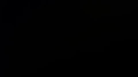 letsplay361 online show from November 2025 12:53:01 AM