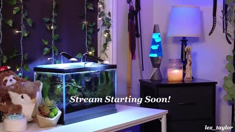 Lex online show from January 2025 03:19:01 AM