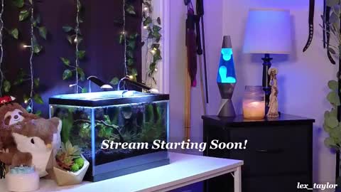 Lex online show from February 2025 04:37:01 PM