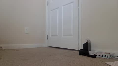 Alexia L. online show from February 2026 06:33:02 PM