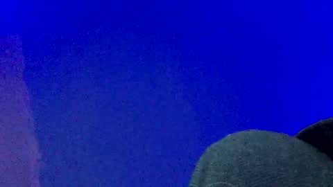 Snapshot of lickyouryoni chatting on December 2024 04:43:02 PM LickYourYoni online show from December 2024 04:43:02 PM