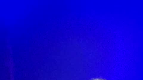 Snapshot of lickyouryoni chatting on January 2025 02:21:02 PM LickYourYoni online show from January 2025 02:21:02 PM