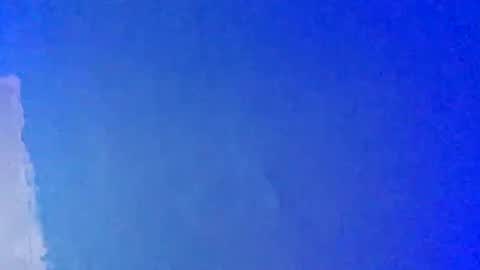 Snapshot of lickyouryoni chatting on March 2025 03:27:01 PM LickYourYoni online show from March 2025 03:27:01 PM