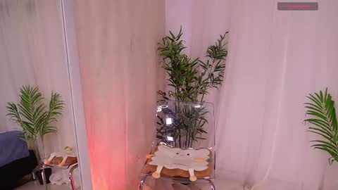 Snapshot of liia_sweett chatting on June 2026 04:19:02 PM Lia Sweet online show from June 2026 04:19:02 PM