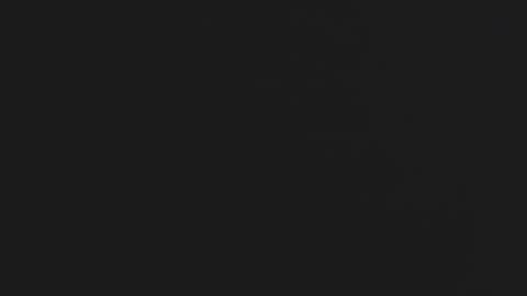 Daniel online show from November 2025 06:14:01 PM