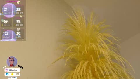 Snapshot of liiamluna chatting on April 2026 10:00:01 AM Liiam Luna online show from April 2026 10:00:01 AM