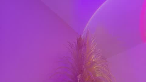 Snapshot of liiamluna chatting on April 2026 11:03:02 AM Liiam Luna online show from April 2026 11:03:02 AM