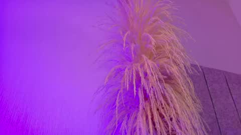 Snapshot of liiamluna chatting on April 2026 11:02:01 AM Liiam Luna online show from April 2026 11:02:01 AM