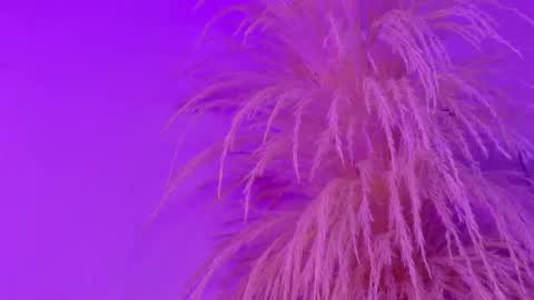 Snapshot of liiamluna chatting on May 2026 11:04:02 AM Liiam Luna online show from May 2026 11:04:02 AM