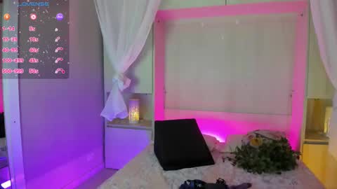         online show from February 2026 11:42:02 AM