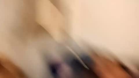 likdatass69247 online show from December 2024 06:28:02 AM