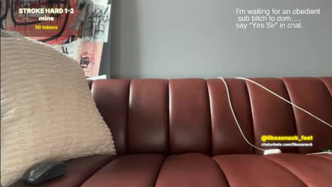 likeasnack online show from April 2026 02:24:01 PM