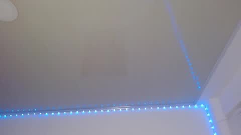 Lisaa online show from February 2025 05:09:02 AM