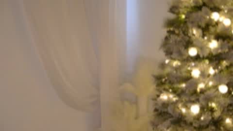 Rebecca online show from December 2025 06:03:01 PM