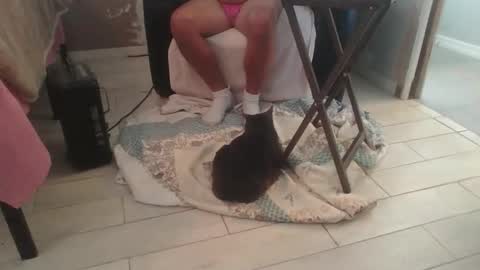 lildicksissy online show from November 2025 05:59:01 PM