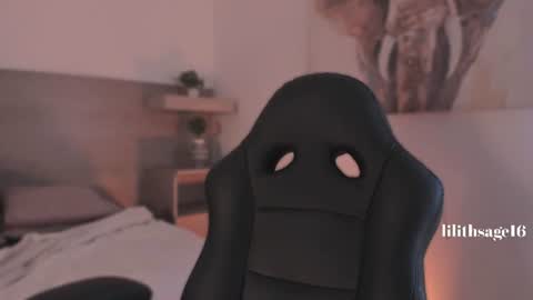 Snapshot of lilith_sage_ chatting on July 2026 08:33:01 PM lilith_sage_ online show from July 2026 08:33:01 PM