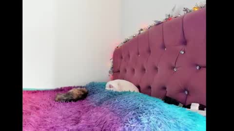 Lilith online show from February 2025 08:32:01 PM