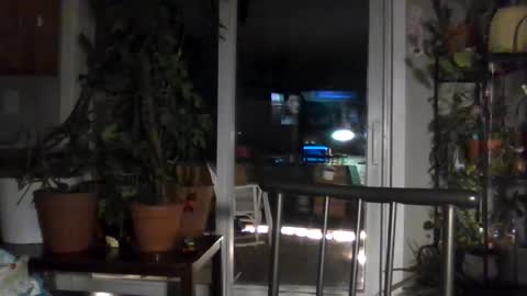 Lexy online show from November 2025 01:59:02 AM