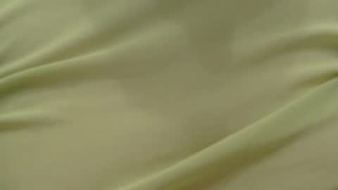 Snapshot of lillkit chatting on February 2026 11:45:02 PM Lilu online show from February 2026 11:45:02 PM