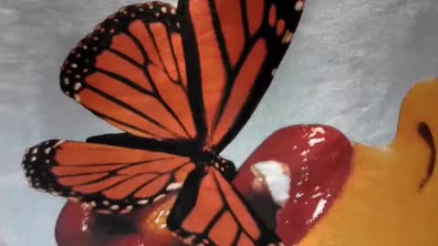 Snapshot of lilvioletxxx chatting on November 2025 04:15:02 AM Little Violet online show from November 2025 04:15:02 AM