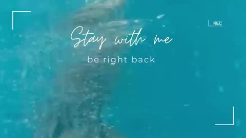 Lily online show from September 2025 11:48:01 AM