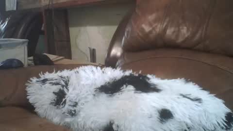 Richie Rich online show from February 2026 08:31:02 PM