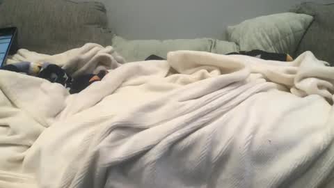 Snapshot of lingeriesissy12 chatting on February 2025 11:04:02 PM lingeriesissy12 online show from February 2025 11:04:02 PM