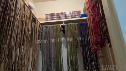 Linzy19 online show from February 2025 03:01:01 AM