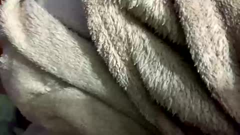 little_sissy_wendy online show from February 2025 09:33:02 PM