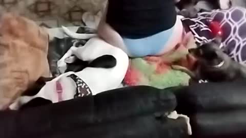 Sady Jayne online show from September 2025 02:24:02 AM