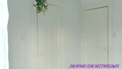 Snapshot of littlegreekflower chatting on February 2025 01:56:02 PM Audra A online show from February 2025 01:56:02 PM