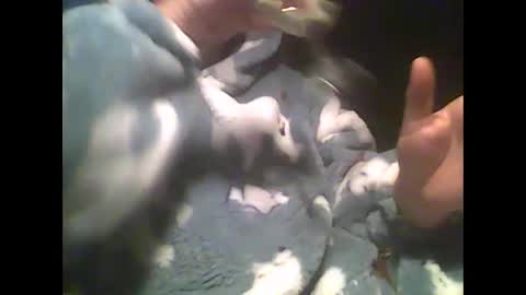Snapshot of littlepaul2 chatting on December 2024 09:22:01 PM LittlePaul online show from December 2024 09:22:01 PM