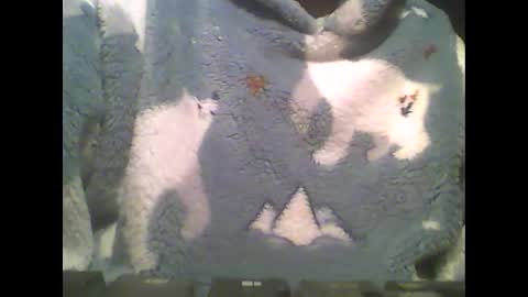 Snapshot of littlepaul2 chatting on February 2025 09:10:01 PM LittlePaul online show from February 2025 09:10:01 PM