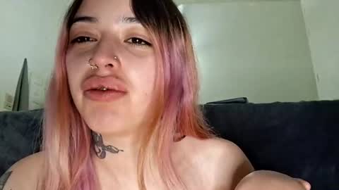 litvvs online show from July 2026 09:15:01 AM