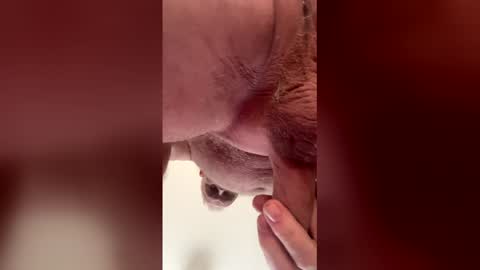 liverpoolfc1986 online show from February 2026 12:39:02 PM