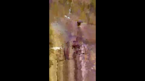 Snapshot of livingdata011010 chatting on May 2026 01:34:01 AM livingdata011010 online show from May 2026 01:34:01 AM