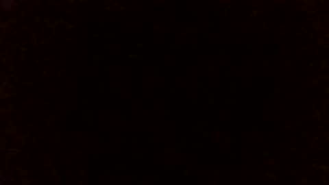 Lizzie Vonn online show from April 2026 12:24:01 AM