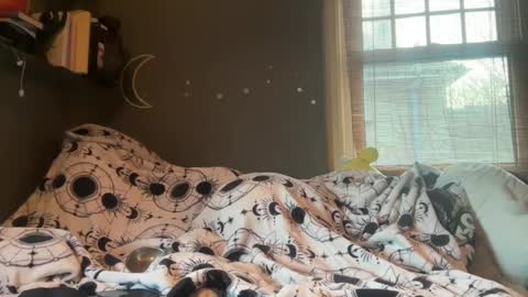 lizzybunny online show from March 2025 04:57:02 PM