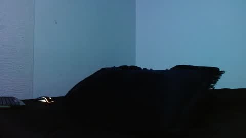 lliamm 2 online show from September 2025 05:23:01 AM