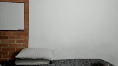 Snapshot of logannick chatting on April 2026 04:29:01 AM Logan online show from April 2026 04:29:01 AM