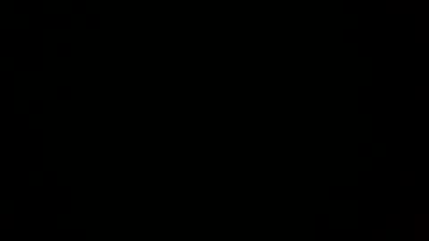 logical12345 online show from December 2024 06:54:02 AM