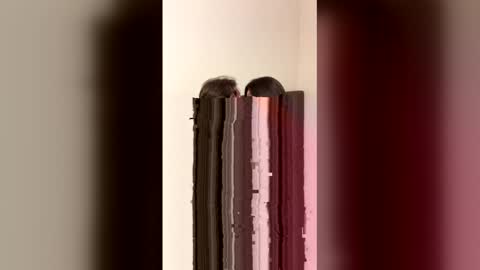 Snapshot of lola_linss chatting on May 2026 11:11:01 PM lola_linss online show from May 2026 11:11:01 PM