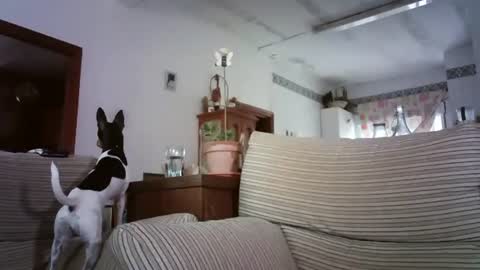 LOLA HUESO y ERIC online show from October 2025 08:12:01 AM