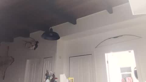 Snapshot of lolalixx6969 chatting on November 2025 02:10:02 PM Lola Lixx online show from November 2025 02:10:02 PM