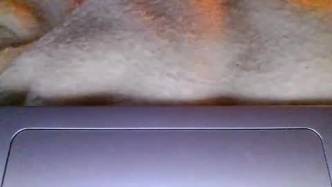 lolalovergirl333 online show from April 2026 12:02:02 AM