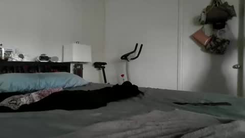 LondonMariexxx online show from November 2025 08:47:02 PM