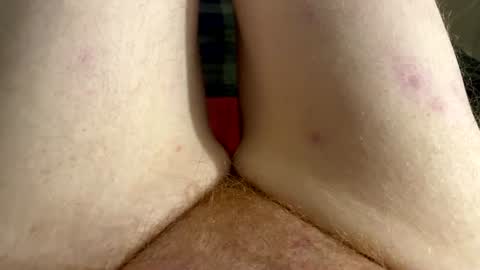 Kitty online show from July 2026 08:02:02 AM